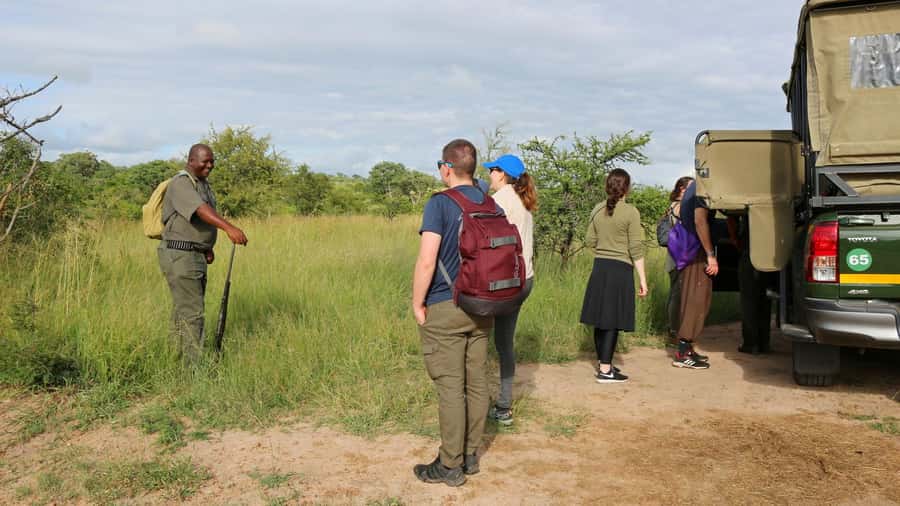 Kruger National Park: 3-Hour Walking Safari - Learning the plants of Kruger