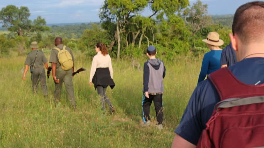 Kruger National Park: 3-Hour Walking Safari - Birds, animals, and the art of noticing