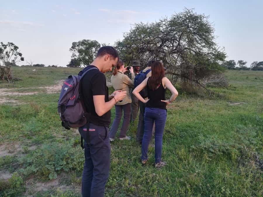Kruger National Park: 3-Hour Walking Safari - Price and value at $138 per person