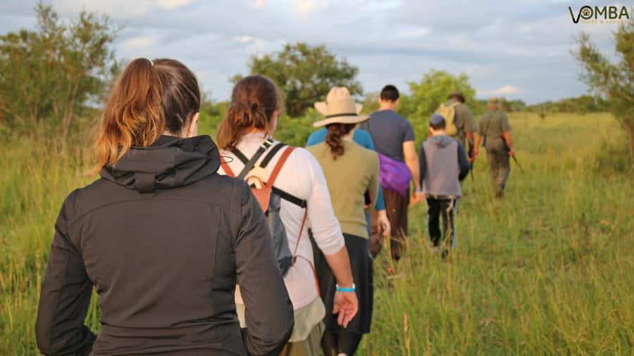 Kruger National Park: 3-Hour Walking Safari - How the feedback helps you set expectations