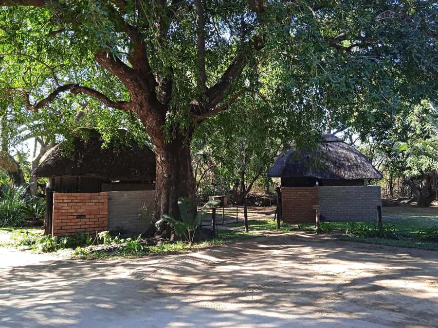 Kruger National Park - 4 Day Safari Tour - Day two: conservation at Moholoholo and Blyde River Canyon