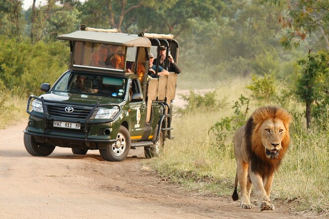 Kruger National Park Afternoon Private safari - Entering Kruger from Hazyview