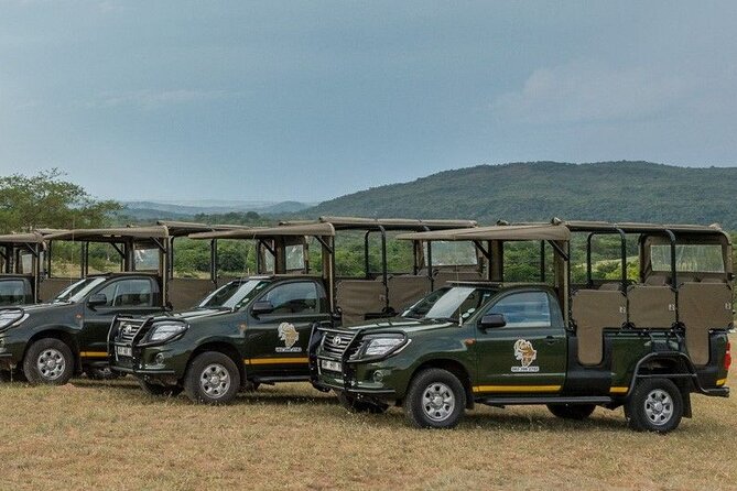 Kruger National Park Afternoon Private safari - Guides Make the Difference