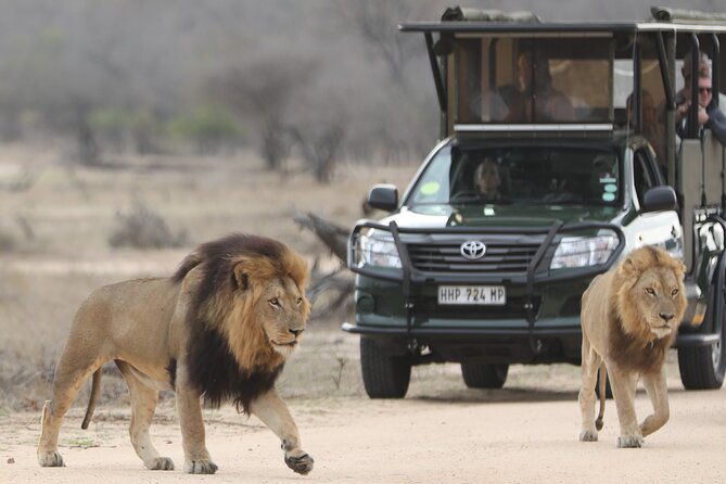 Kruger National Park Full Day Private safari - Who will get the most from this day