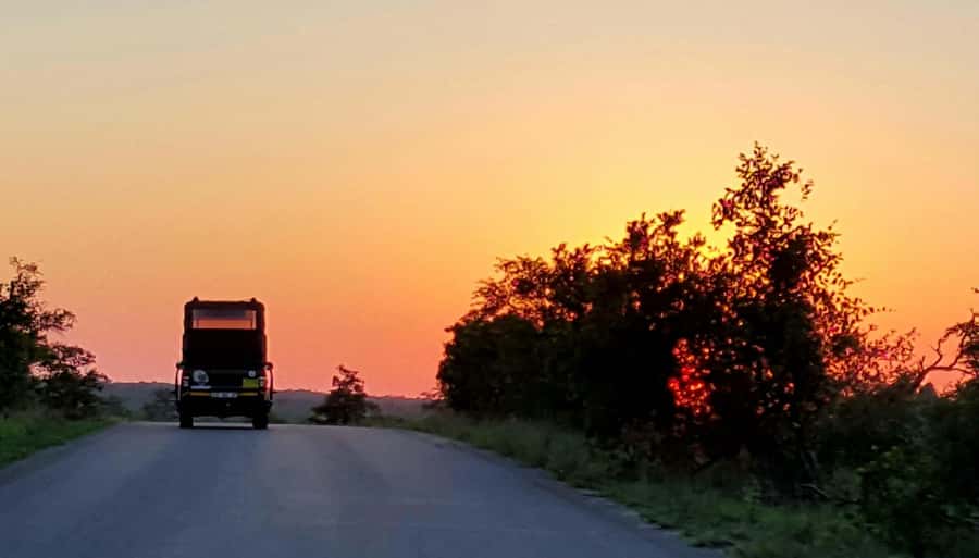 Kruger National Park: Full-Day Private Safari With Pickup - Key points