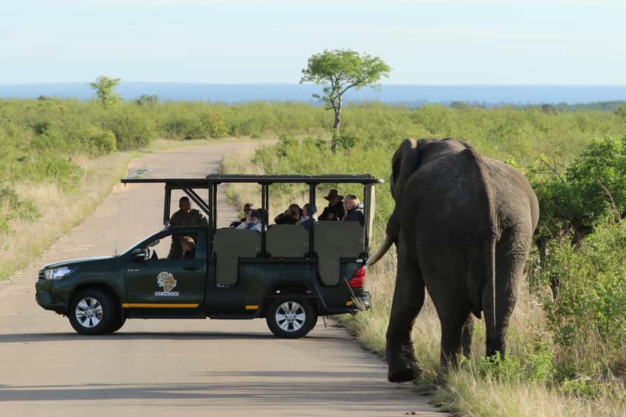 Kruger National Park: Full-Day Private Safari With Pickup - An early start into Kruger National Park