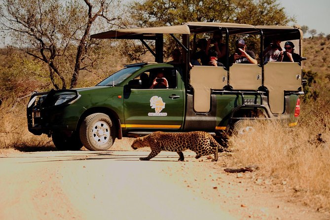 Kruger National Park Full Day Private safari - A private safari changes the pace