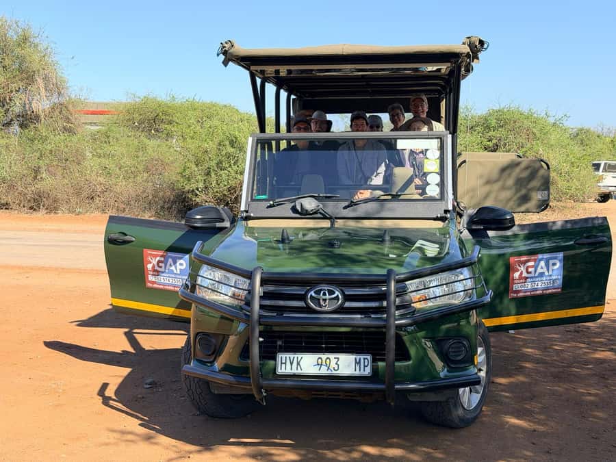 Kruger National Park Full-Day Safari - Choosing between an open and air-conditioned vehicle
