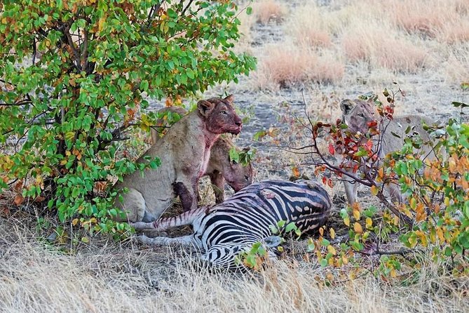 Kruger National Park Full Day Tour Minimum 2people - Who Will Get the Most From This Safari