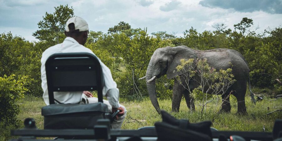 Kruger National Park half day - Comfort, group size, and responsible conduct