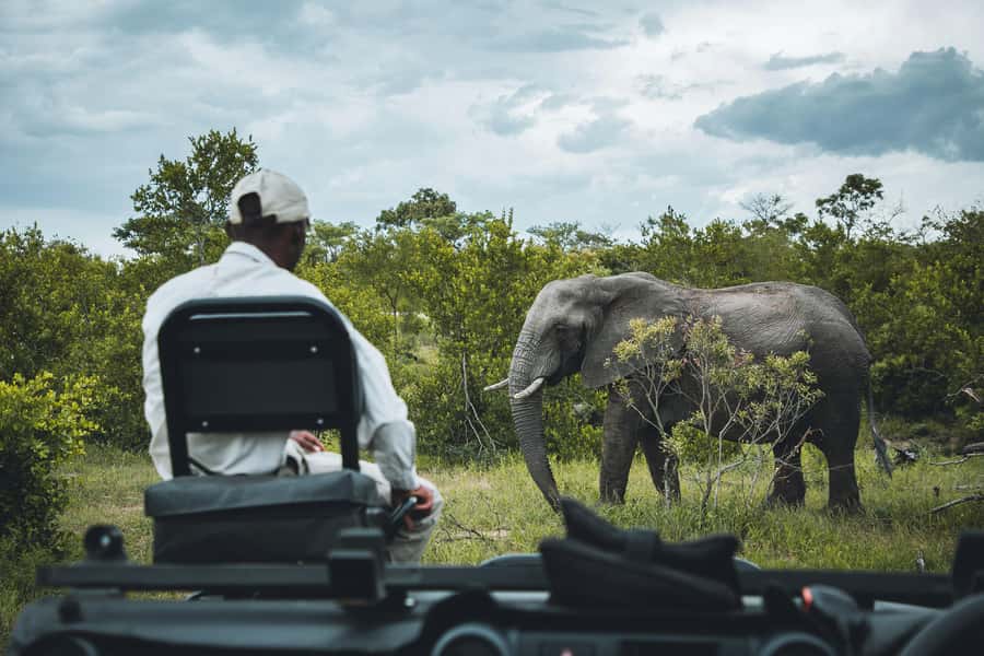 Kruger National Park half day - Who should book this half-day safari?
