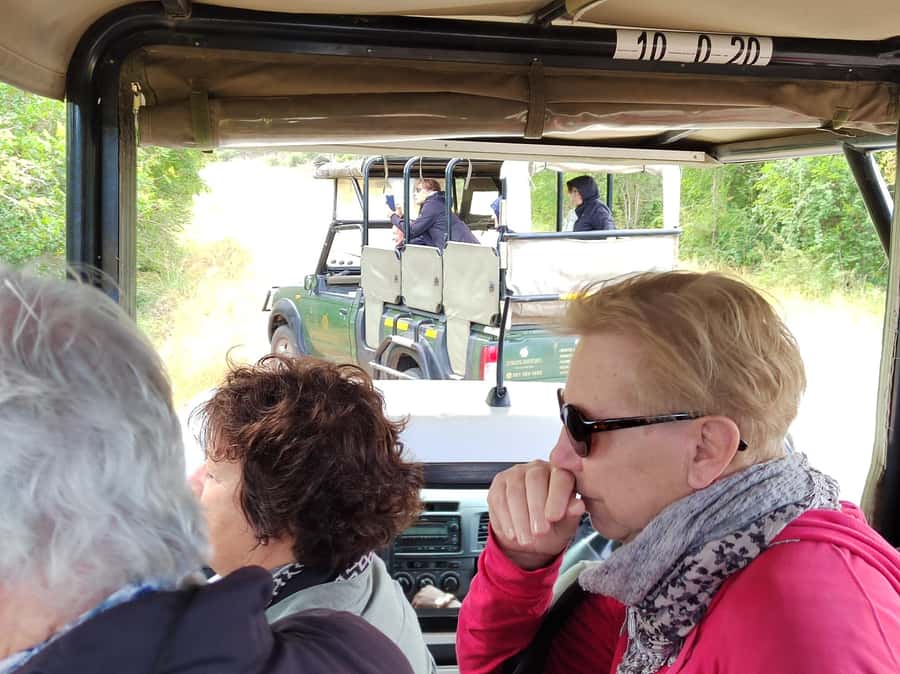 Kruger National Park half day - From Hazyview to Phabeni Gate