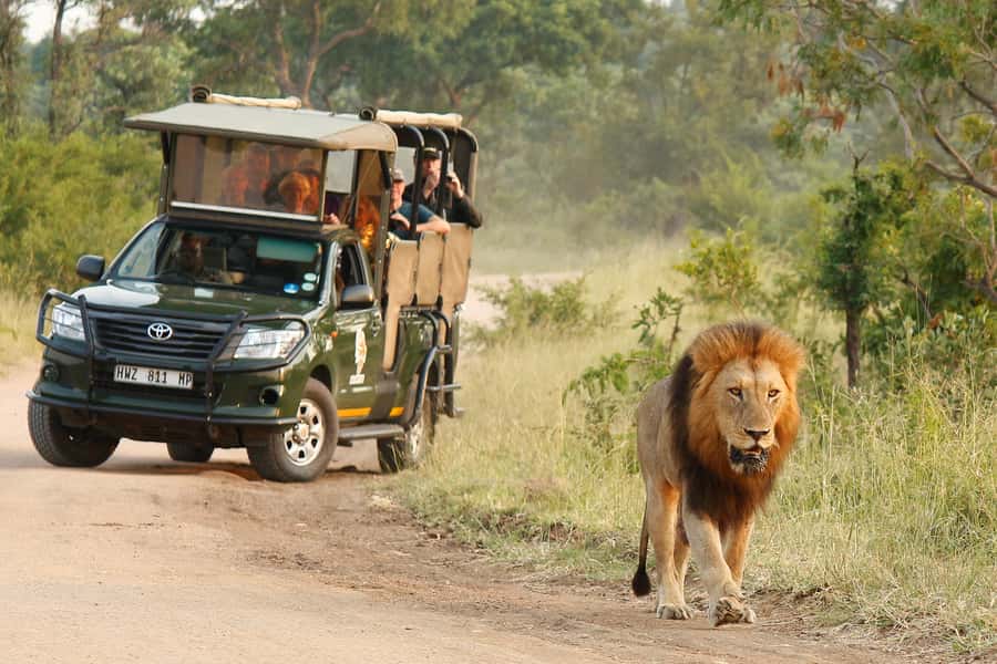 Kruger National Park Morning Safari - Sunrise in a two-million-hectare reserve