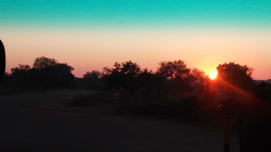Kruger National Park Morning Safari - The smaller details that make Kruger worthwhile