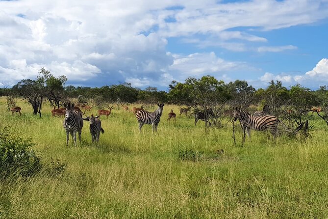 Kruger National Park & Panorama Route From Johannesburg 3 Days & 2 Nights - Lisbon Falls and the waterfall stops