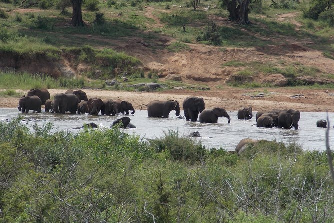 Kruger National Park - Private 3 day, 2 night safari trip. - The departure sunrise drive