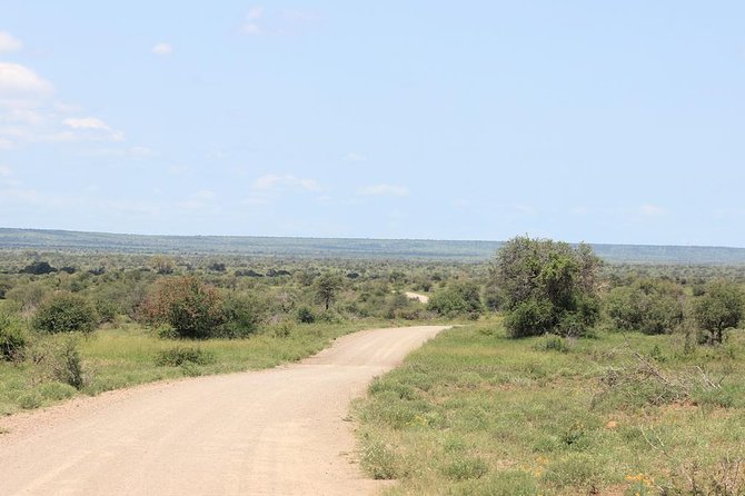 Kruger National Park Private Full-Day Safari - Private Safari Vehicle & Guide - Key points to know before booking