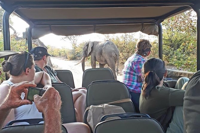 Kruger National Park Private Full-Day Safari - Private Safari Vehicle & Guide - Summer clothing from September through April