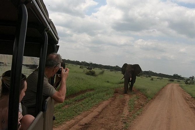 Kruger National Park Private Full-Day Safari - Private Safari Vehicle & Guide - The real value of $571.12 per group