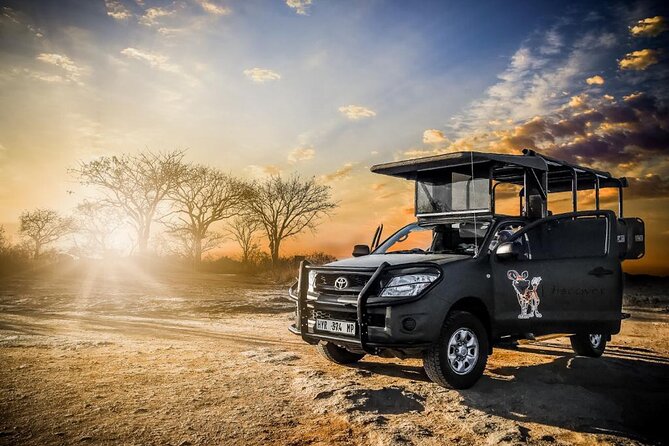 Kruger National Park Private Guided Tour - Why a private Kruger vehicle changes the day
