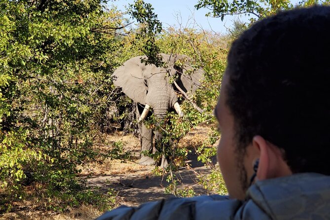 Kruger National Park Private Guided Tour - Pricing at $510.69 for up to nine people