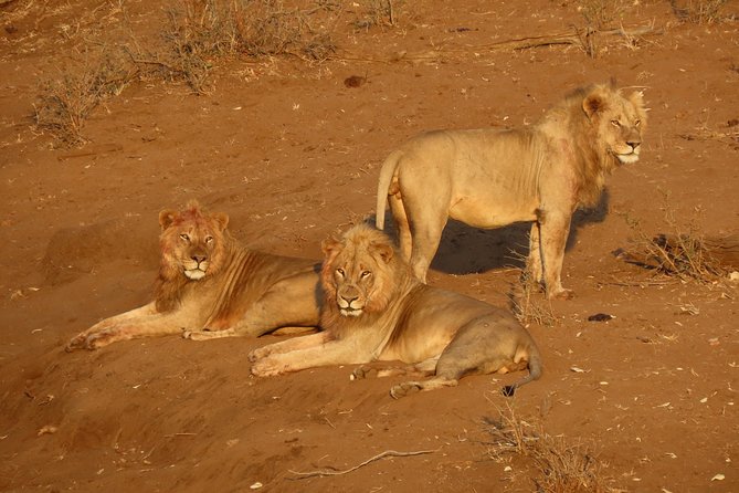 Kruger National Park - Private Sunrise Half day Safari trip. - Leaving Hazyview through Phabeni Gate
