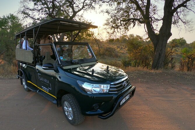 Kruger National Park Sunrise Half-Day Safari Tour - Timing, age rules, and small planning traps