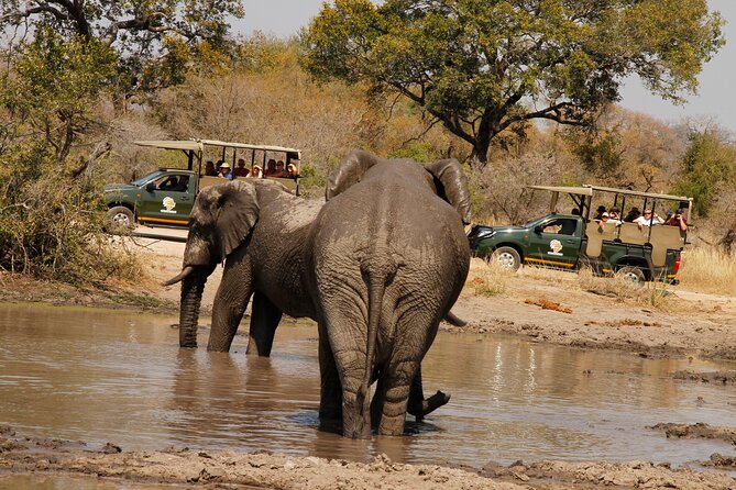 Kruger National Park sunrise Morning Private safari - Six hours in an open safari vehicle