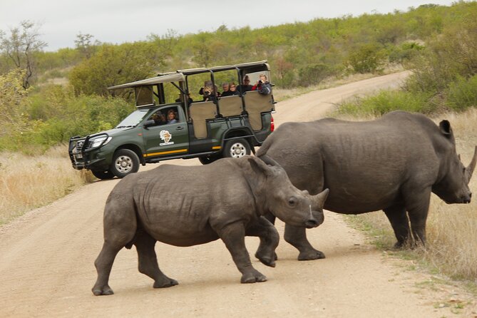 Kruger National Park sunrise Morning Private safari - Why the guide matters on a private safari