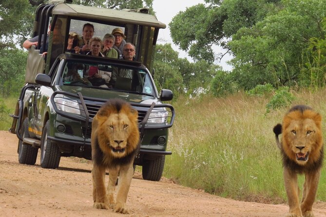 Kruger National Park sunrise Morning Private safari - What you may see along the morning route
