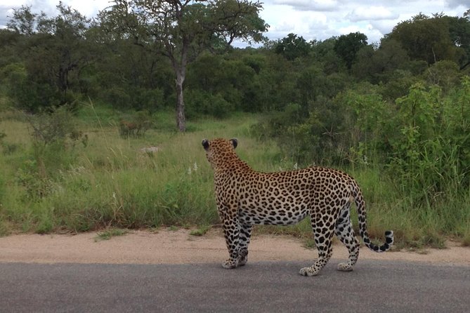 Kruger Park Safari: Guided Day Tour from Nelspruit - Entering Kruger National Park near opening time