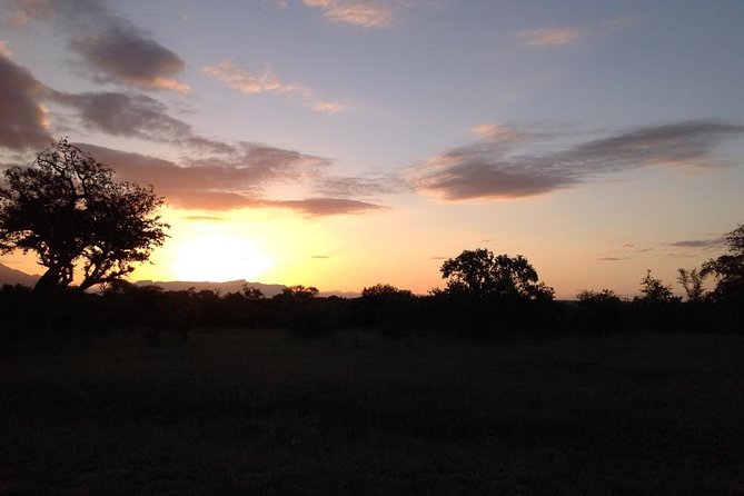 Kruger Park Safari: Guided Day Tour from Nelspruit - Who will enjoy this Kruger day trip?