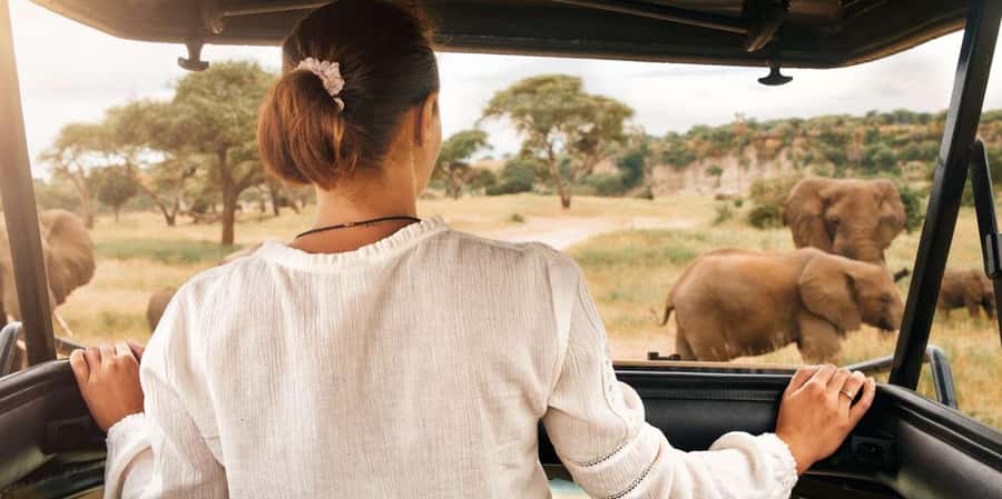 Kruger Park Scheduled Full day Safari Drive from Hoedspruit - Key points at a glance