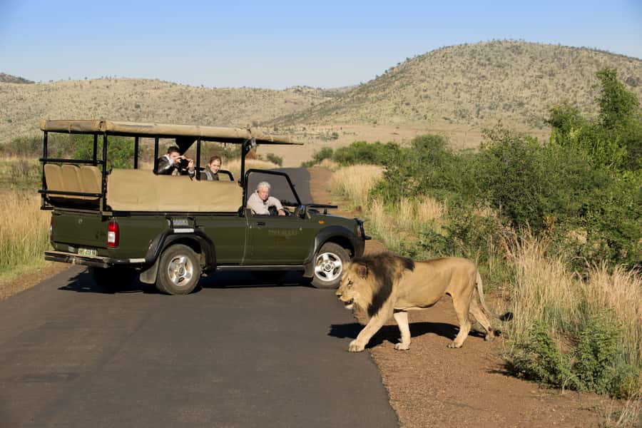 Kruger Park Scheduled Full day Safari Drive from Hoedspruit - Entering Kruger through Orpen Gate