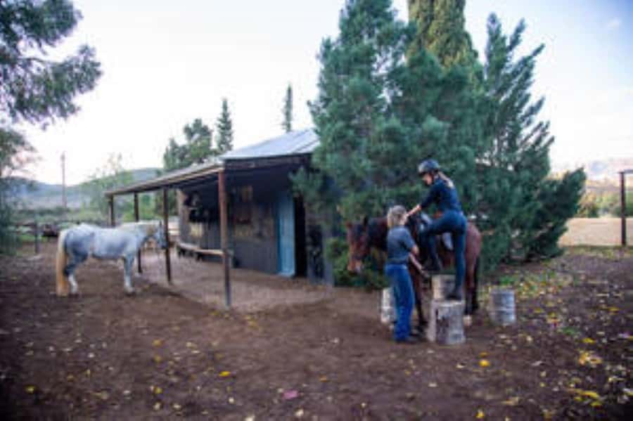 Kudu Trail Horse Riding Experience - Key points at a glance