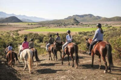 Kudu Trail Horse Riding Experience