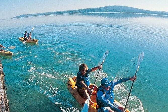 Langebaan Lagoon Island Kayak Experience - Why a two-hour tour works well
