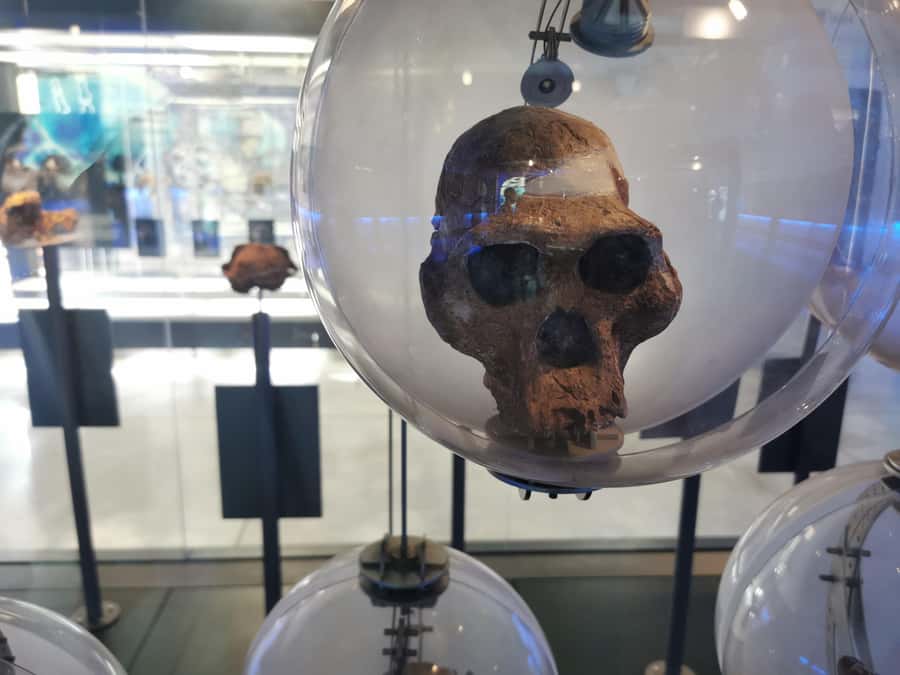 Lesedi Cultural Village, Sterkfontein Caves or Maropeng Mus - Key points to know before booking