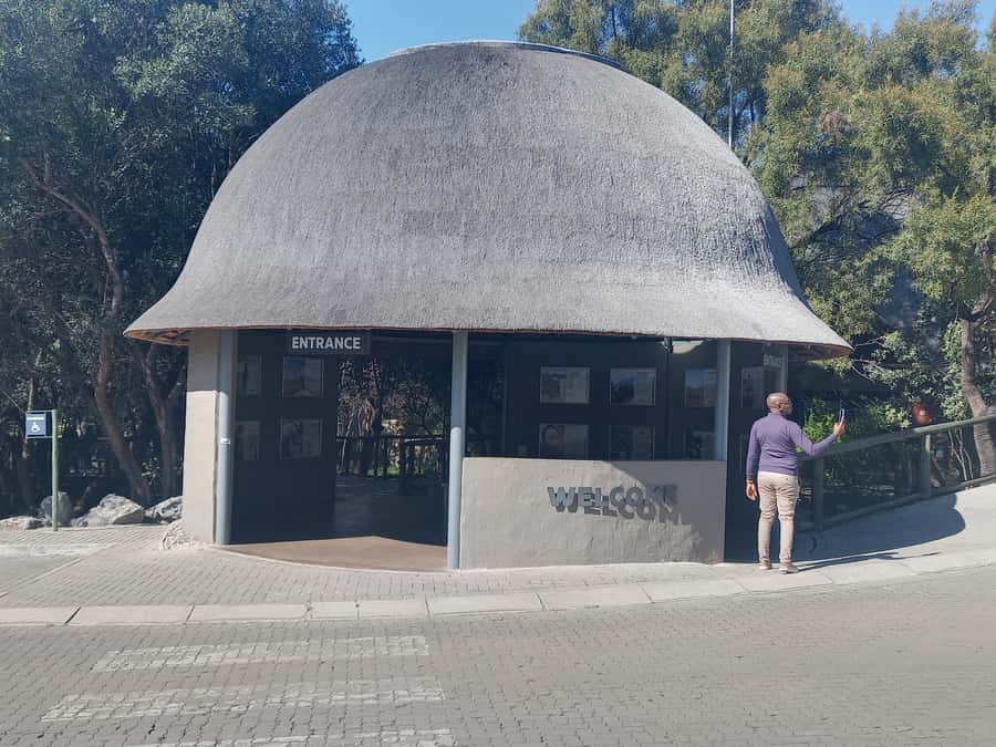 Lion park - A safari built around big predators