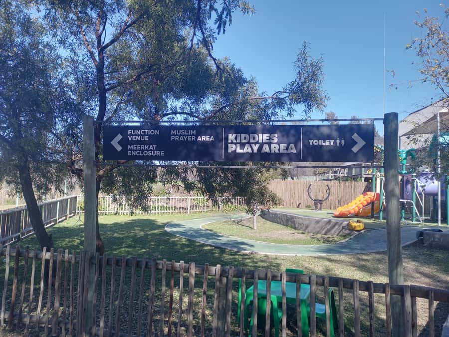 Lion park - Who will enjoy this day most