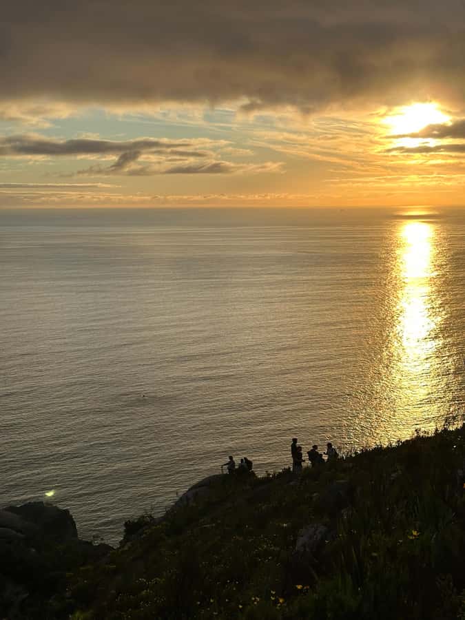 Lion's Head Hike: Cape Town - Sunrise or Sunset Hike - Fynbos, stories, and a stronger sense of place