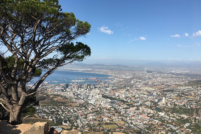 Lion's Head Hike - Private Tour - What the $103.90 Price Buys You