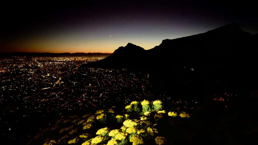 Lion's Head Sunrise or Sunset Hike + Hotel Pick-Up - Walking back down to Cape Town