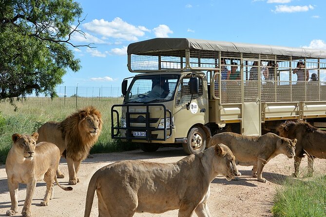 Lion & Safari Park - What you can expect during the three-hour park visit