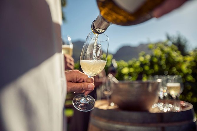 Luxury Wine Tour with Lunch - A private route through South Africa’s wine country