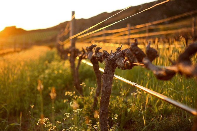 Luxury Wine Tour with Lunch - Helshoogte is the scenic link