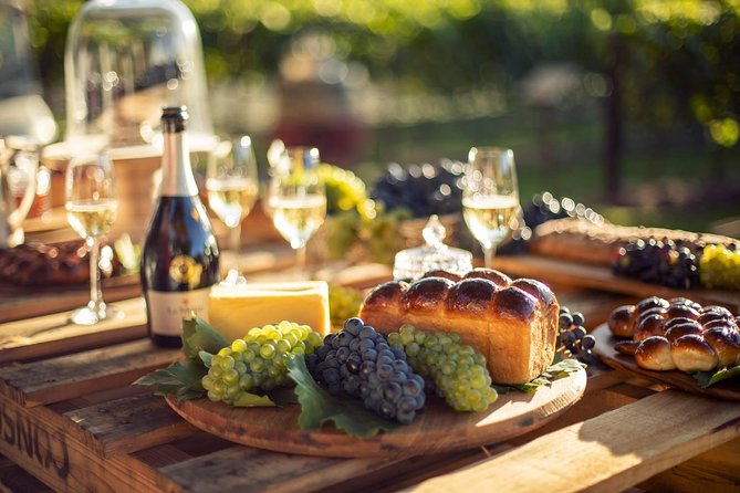 Luxury Wine Tour with Lunch - Cheetah Outreach adds a different kind of stop
