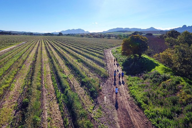 Luxury Wine Tour with Lunch - What the private guide changes