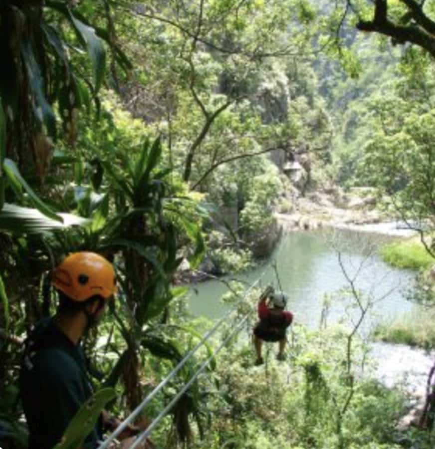 Magoebaskloof Adventures: 2H Canopy Tour - Above Magoebaskloof’s forest canopy