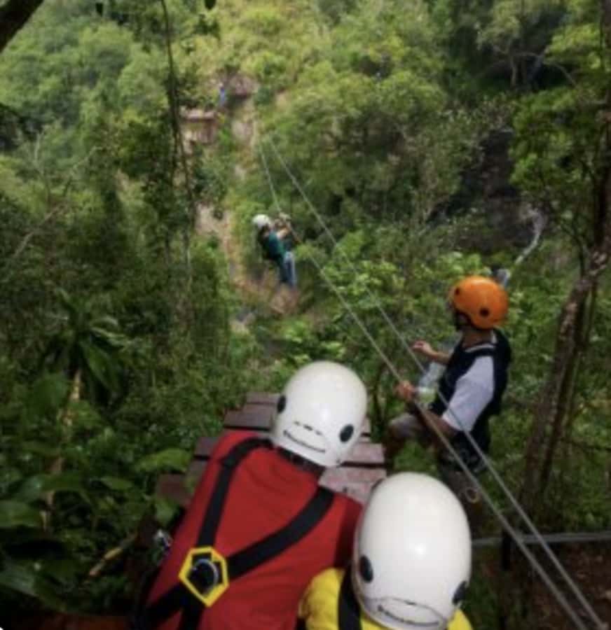 Magoebaskloof Adventures: 2H Canopy Tour - Booking flexibility and practical planning